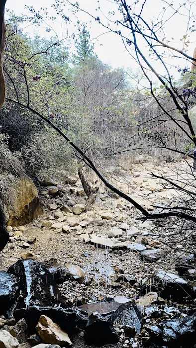 Red Rock Canyon Campground Picture 7