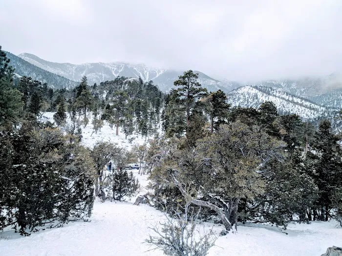 Mahogany Grove Group Campground Picture 8