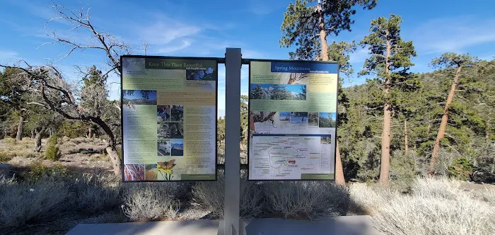 Mahogany Grove Group Campground Picture 6