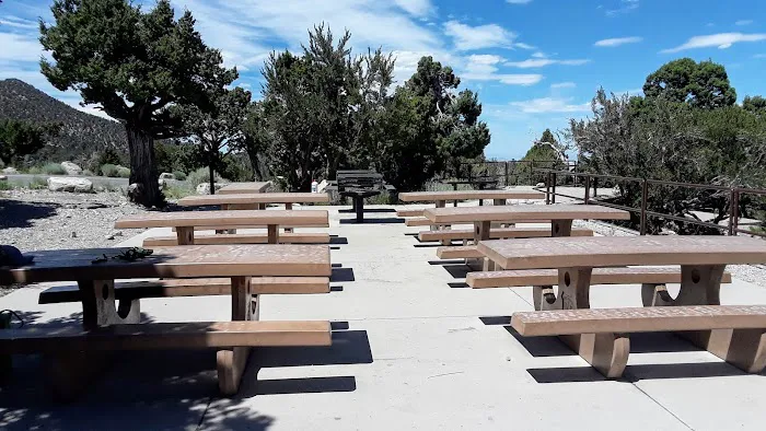 Mahogany Grove Group Campground Picture 1