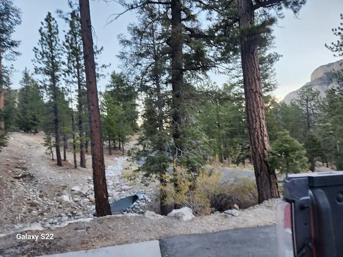 Mahogany Grove Group Campground Picture 7