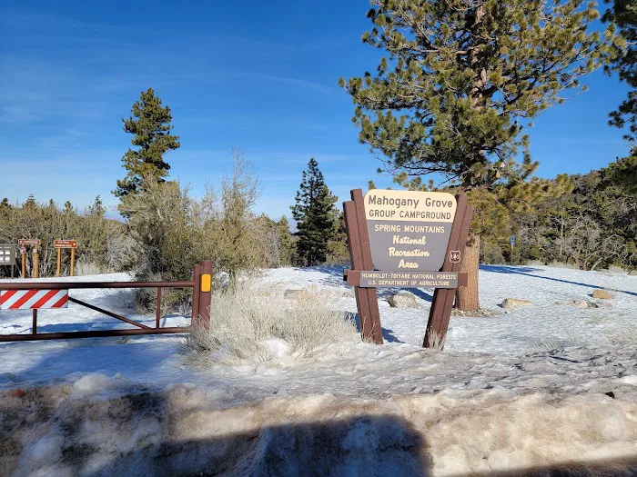 Mahogany Grove Group Campground Picture 9