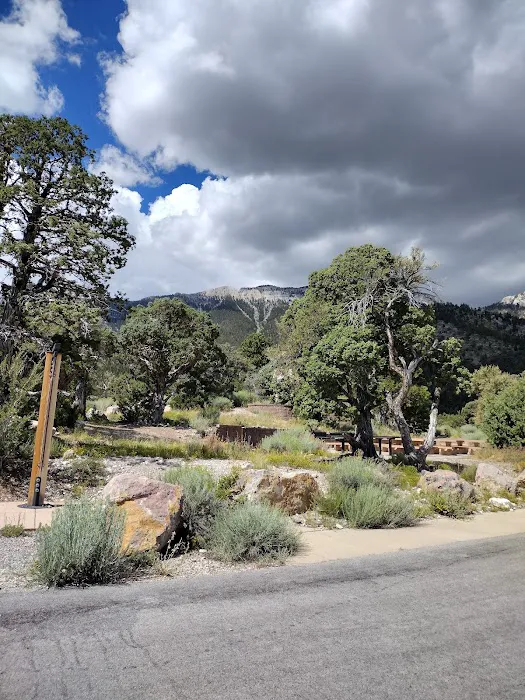 Mahogany Grove Group Campground Picture 2