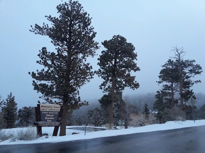 Mahogany Grove Group Campground Picture 3