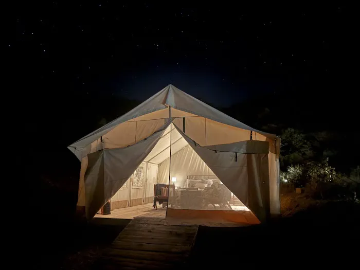 Vegas Glamping Picture 3