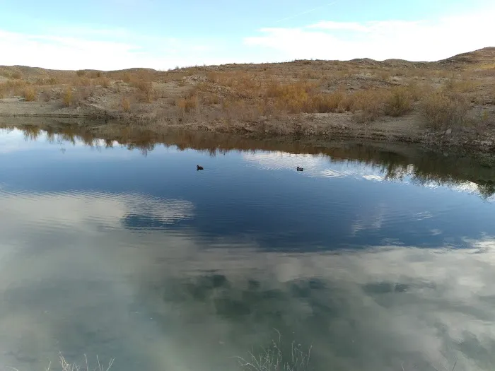 Temple Bar Resort Picture 8