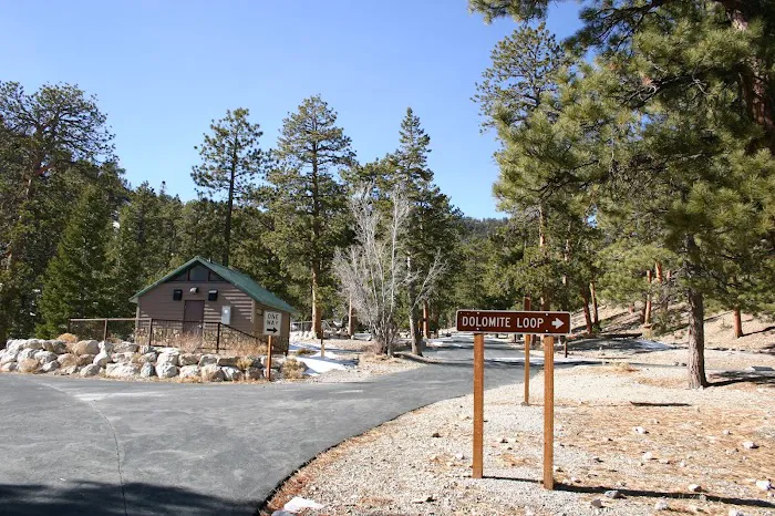 McWilliams Campground Picture 5