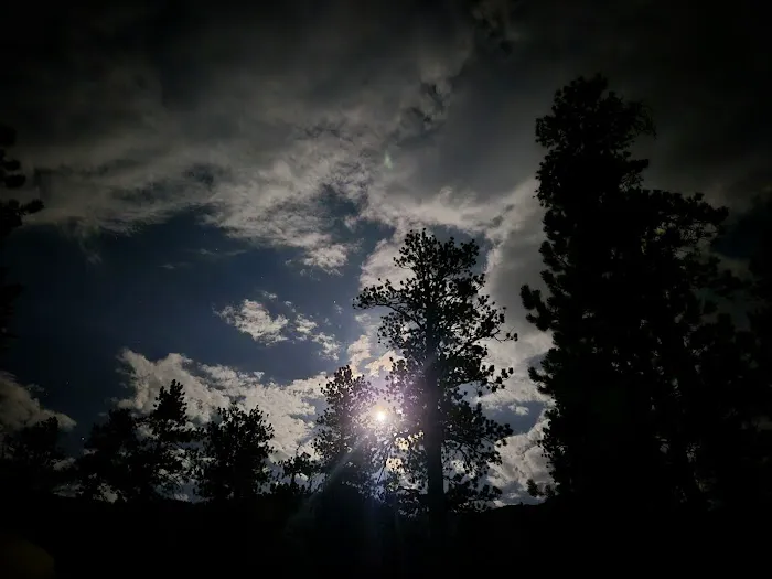 McWilliams Campground Picture 3