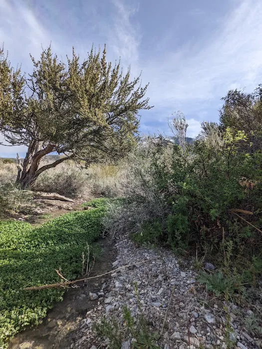 Willow Creek Picture 3