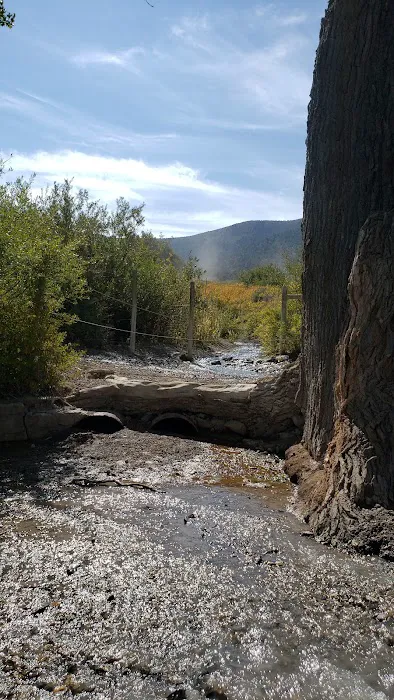 Willow Creek Picture 2