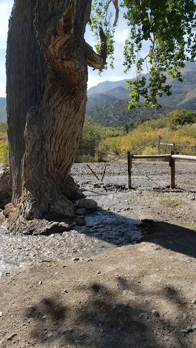 Willow Creek Picture 4