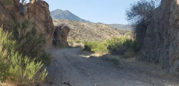 Willow Creek Picture 10