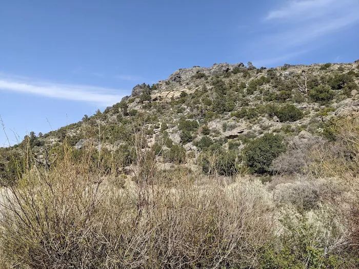 Willow Creek Picture 8