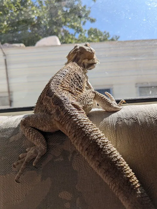 Circle S Campgrounds Picture 3