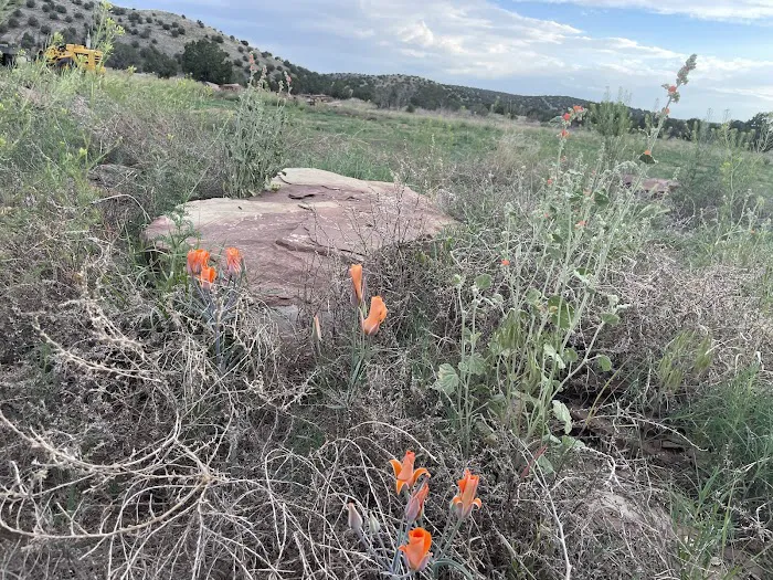 Crozier Ranch Picture 10