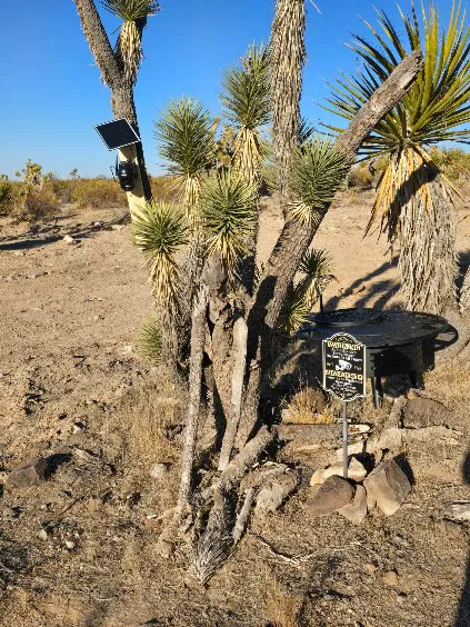 KRRSBrand Estate Picture 4