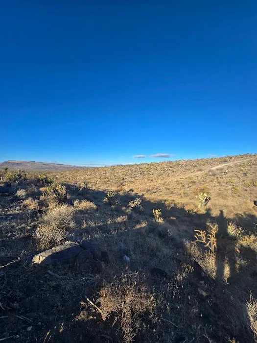 KRRSBrand Estate Picture 2