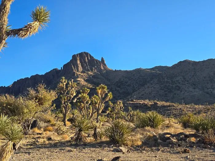 KRRSBrand Estate Picture 1