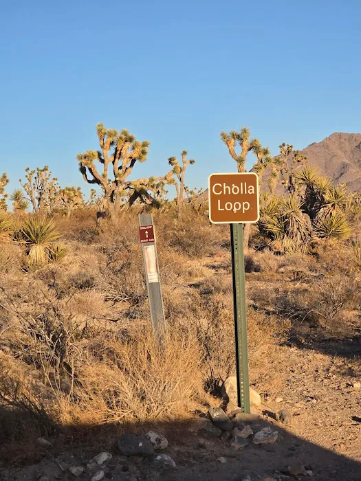 KRRSBrand Estate Picture 8