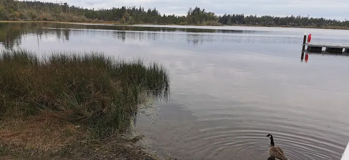 Manchester State Park Group Campground Picture 1