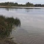 Manchester State Park Group Campground