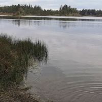 Manchester State Park Group Campground ico