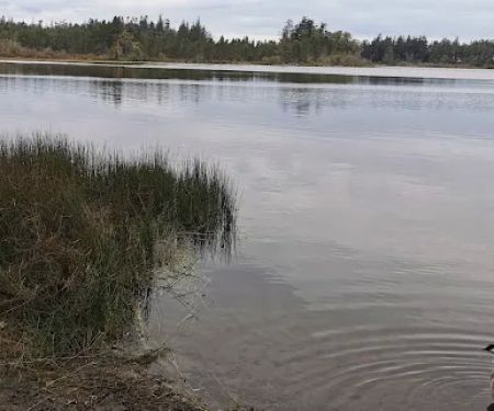 Manchester State Park Group Campground