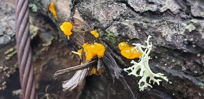 Dean's Campground Picture 7