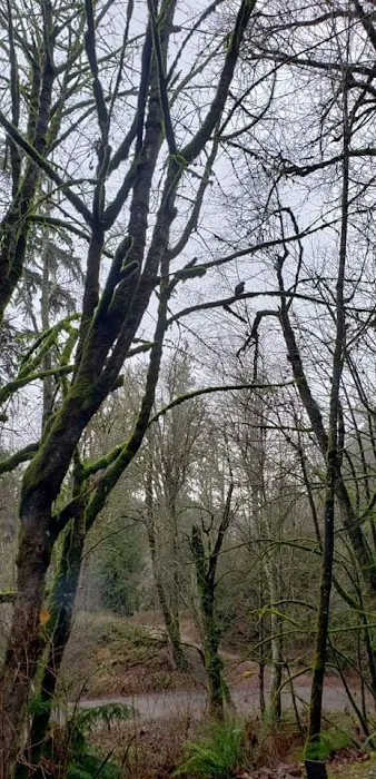 Dean's Campground Picture 5