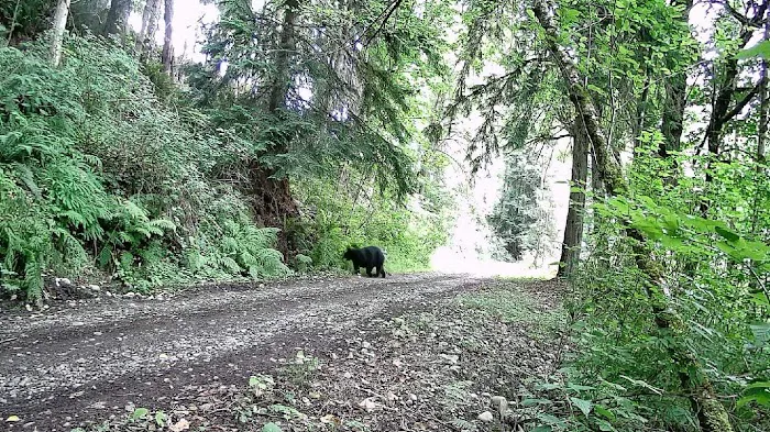 Dean's Campground Picture 10