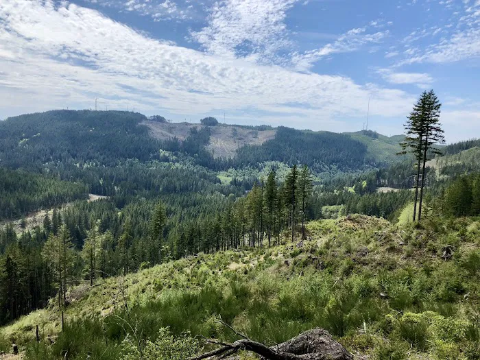 Green Mountain Horse Camp Picture 2