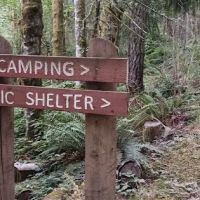 Green Mountain Horse Camp ico