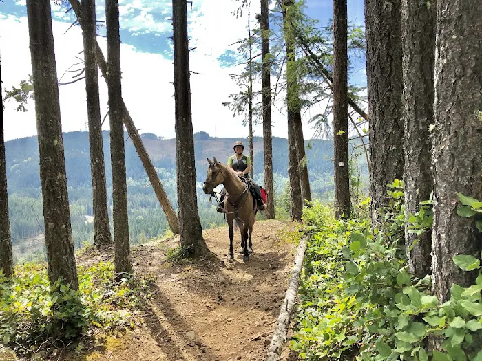 Green Mountain Horse Camp Picture 7