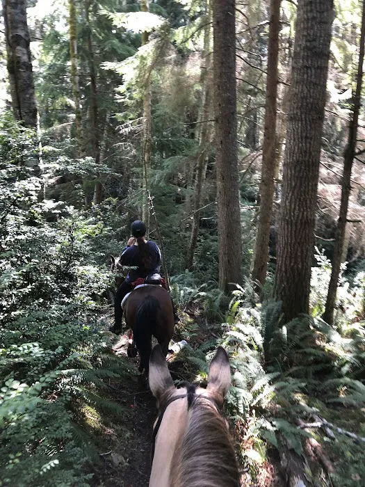 Green Mountain Horse Camp Picture 5