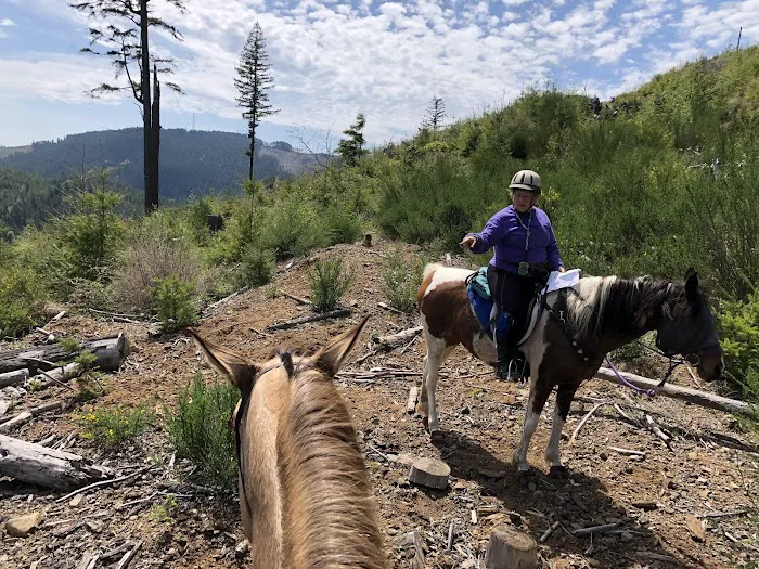 Green Mountain Horse Camp Picture 6