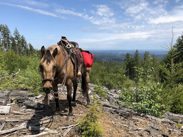 Green Mountain Horse Camp Picture 4