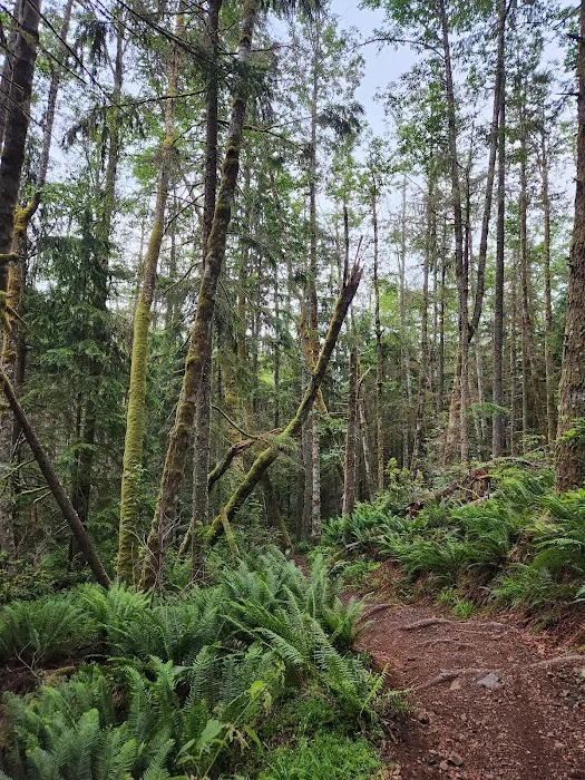 Green Mountain Horse Camp Picture 10