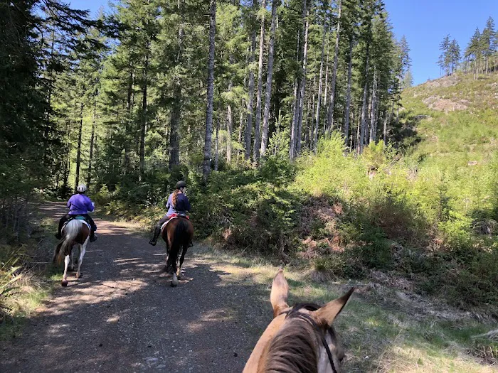 Green Mountain Horse Camp Picture 9