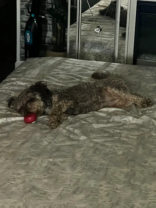 Metropolitan Associates LTD Picture 8