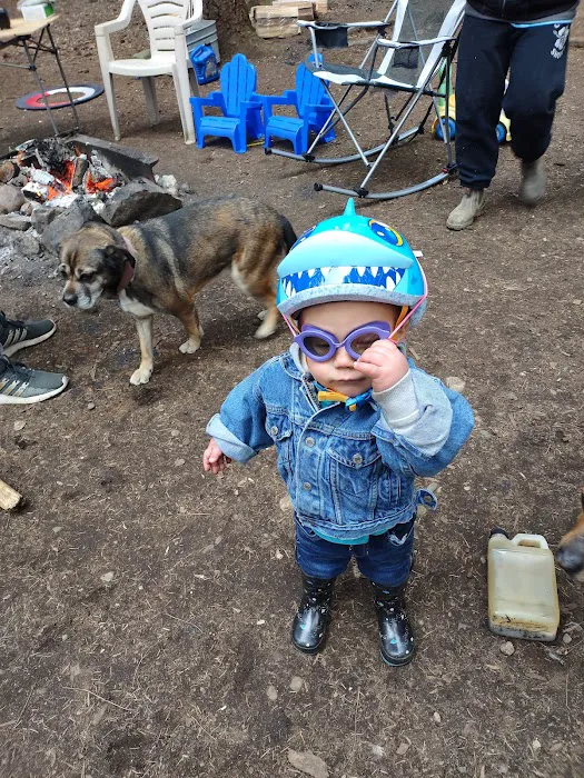 Kammenga Canyon Campground Picture 4