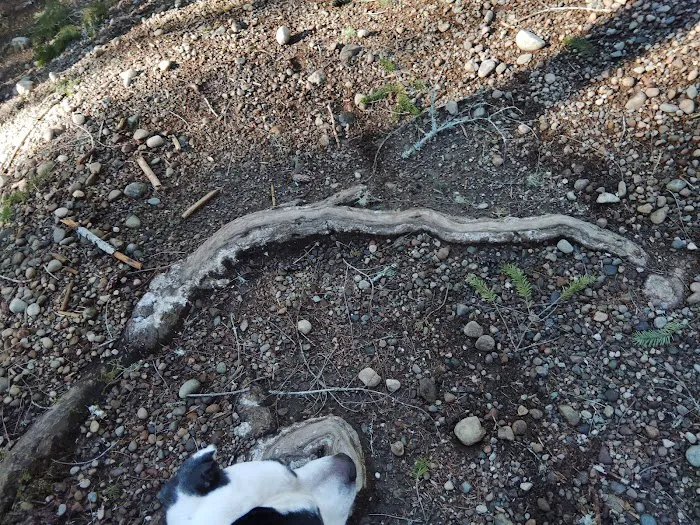 Kammenga Canyon Campground Picture 6