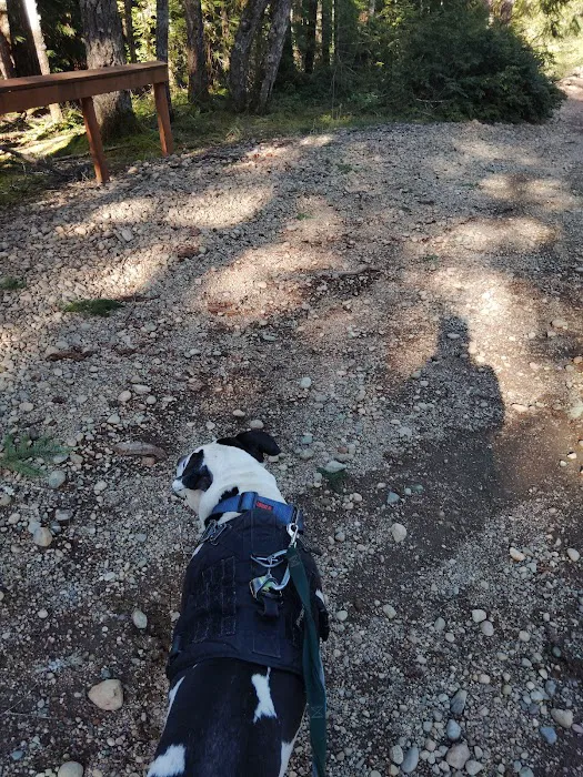 Kammenga Canyon Campground Picture 9