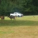 Valley Camp Private Lutheran Retreat Center