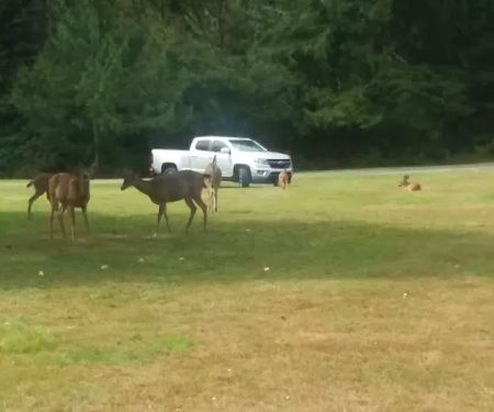 Valley Camp Private Lutheran Retreat Center