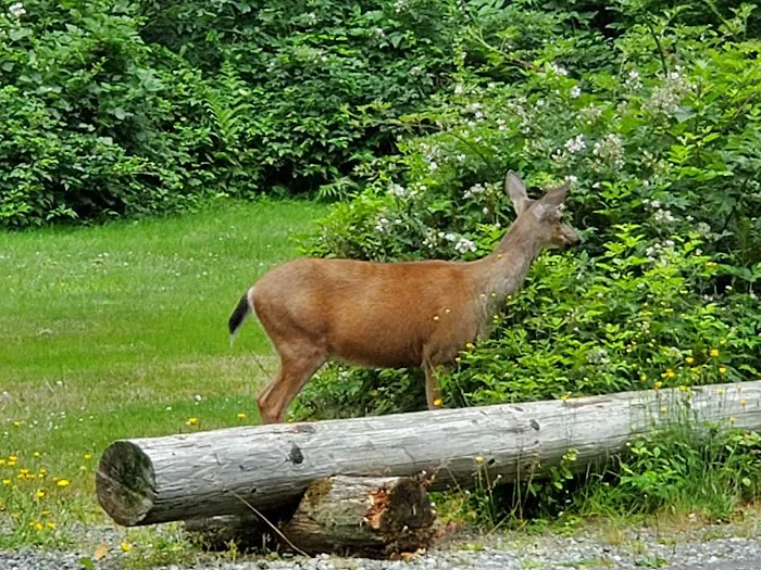 Valley Camp Private Lutheran Retreat Center Picture 4