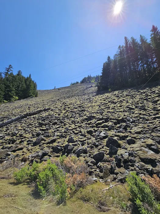 Alice Creek Campground Picture 6