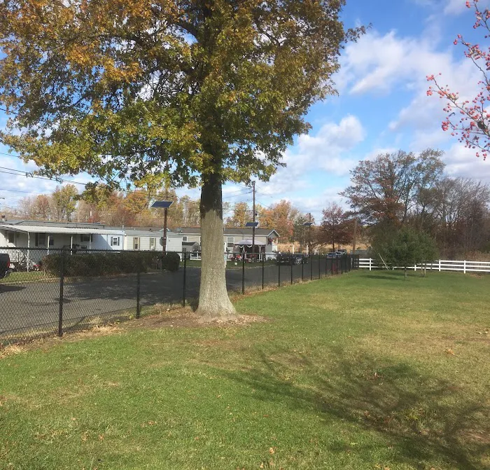 Tower Trailer Park Picture 3