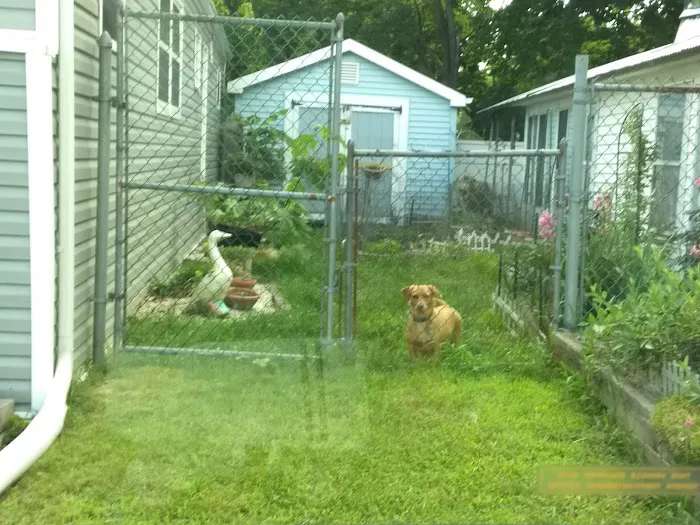 Finn's Mobile Home Park & Sales Picture 7