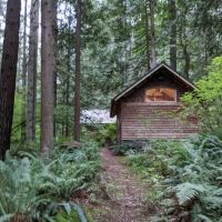 Camp Hamilton ico