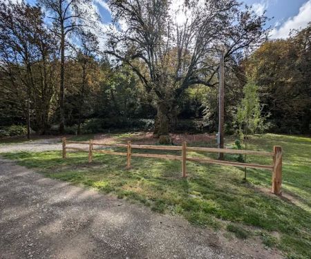 Hollow Tree Hideaway